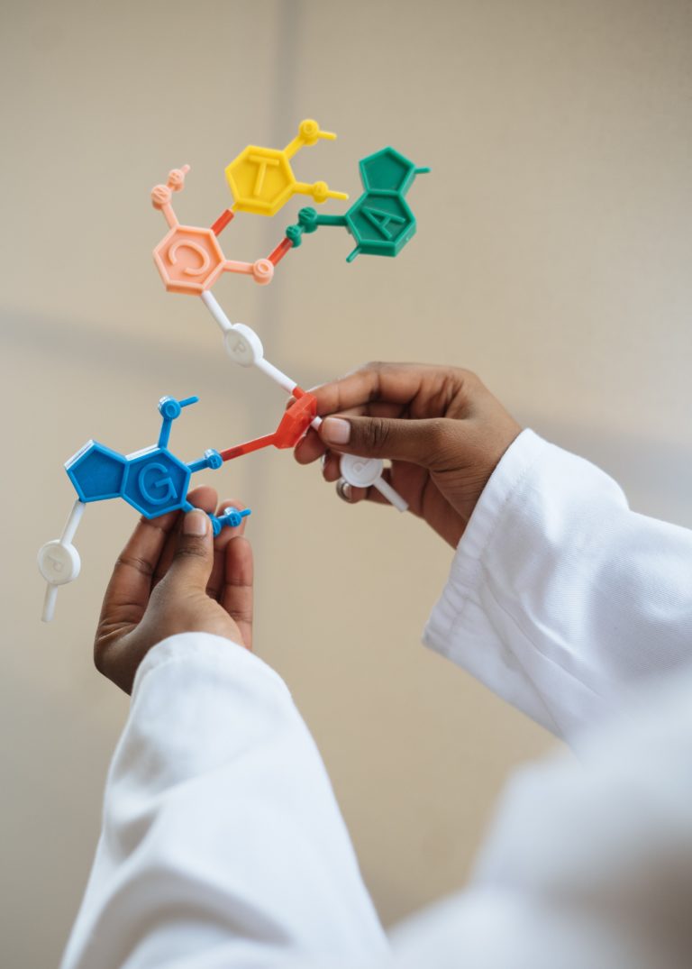 Chemist holding molecule model
