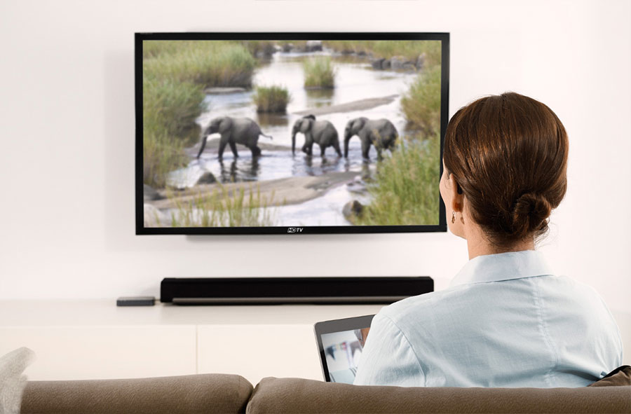 Woman watching television with elephants on screen